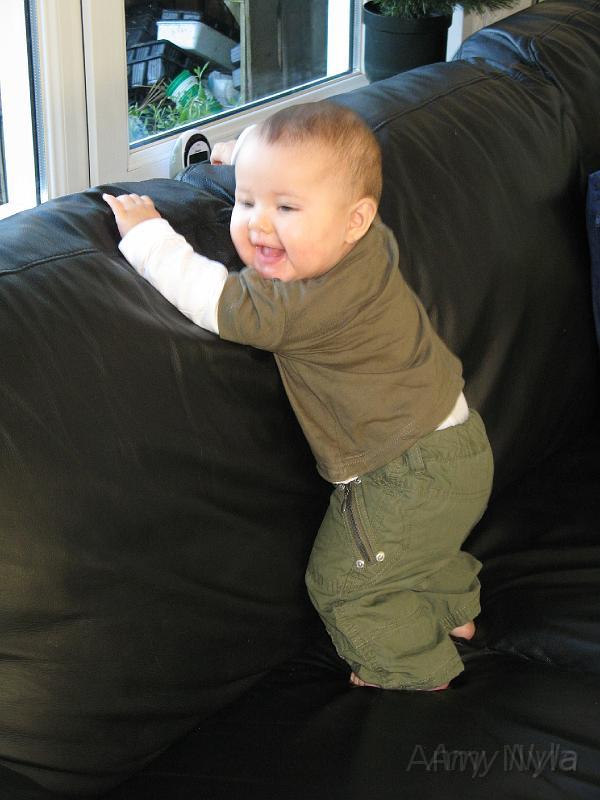 2007_12_29 (8).JPG